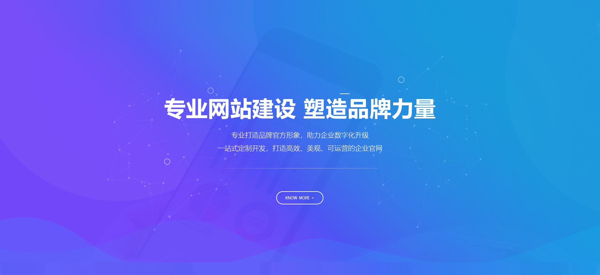 兰西建站-专业网站建设 塑造品牌力量