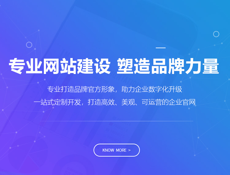 兰西建站-专业网站建设 塑造品牌力量
